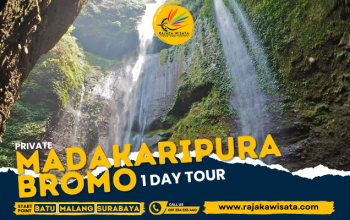 trip madakaripura bromo