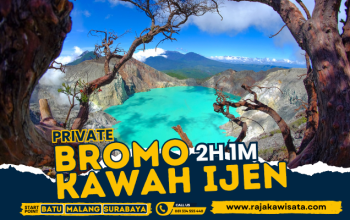 Trip Kawah Ijen & Bromo