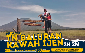Trip Baluran & Kawah Ijen