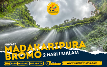 Trip Madakaripura & Bromo